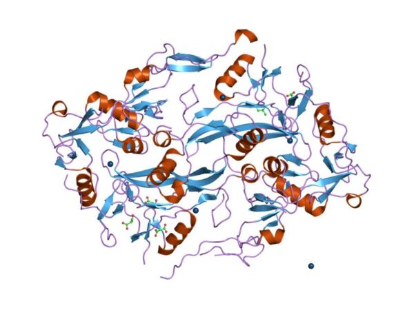 Follistatin 344 1mg