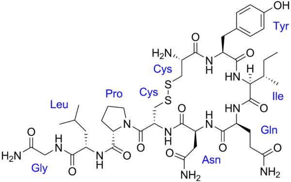 Oxytocin 2mg 50 VIALS AT 30% OFF